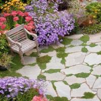 Patio Pavers Guys image 1